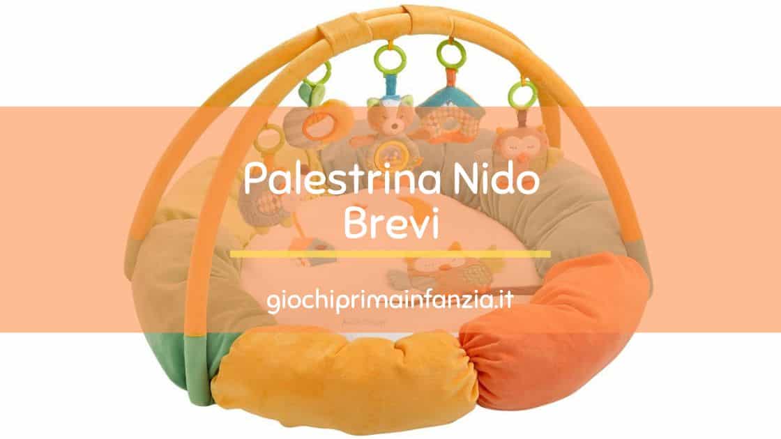 Al momento stai visualizzando Palestrina Nido Foresta Brevi Multicolore: Recensione con Offerte e Prezzi