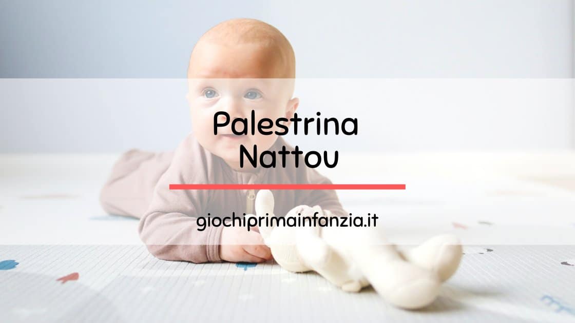 Al momento stai visualizzando Migliori Palestrine Nattou: Guida con Prezzi, Offerte ed Opinioni